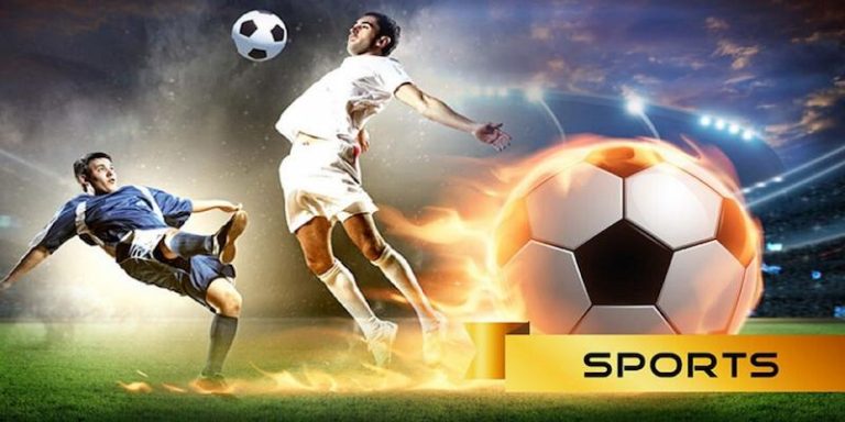 365 JOGO Descubra o vibrante mundo dos esportes online em